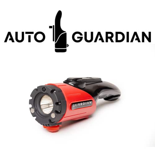 Auto Guardian experiências e opiniões