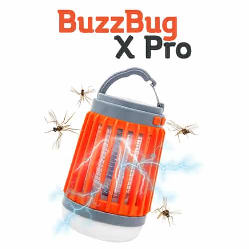Buzz Bug X Pro review and opinions