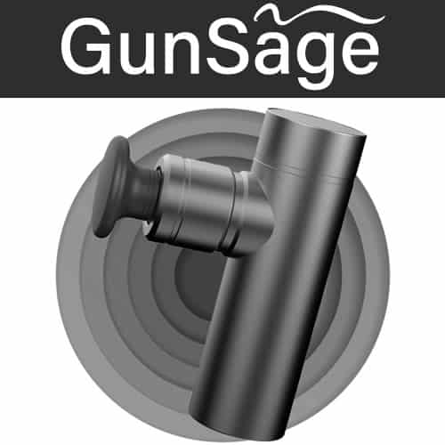 Qinux GunSage review and opinions