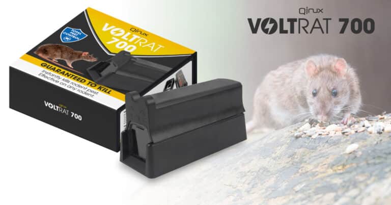 Qinux Voltrat 700, electric rat trap, reviews and opinions