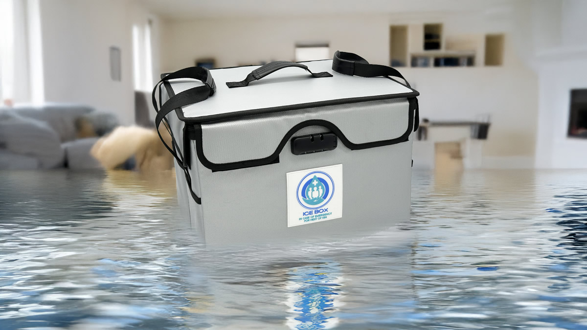 Ice Box document protector reviews and test Ice Box document protector reviews and opinions