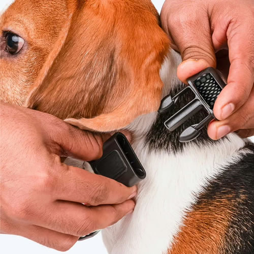 Noobark anti-bark test Noobark anti-bark test